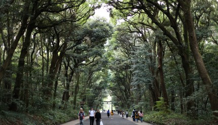 Meiji Shrine Tokyo Japan (002)